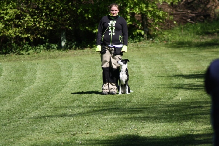 Frühjahrsprüfung 2014
