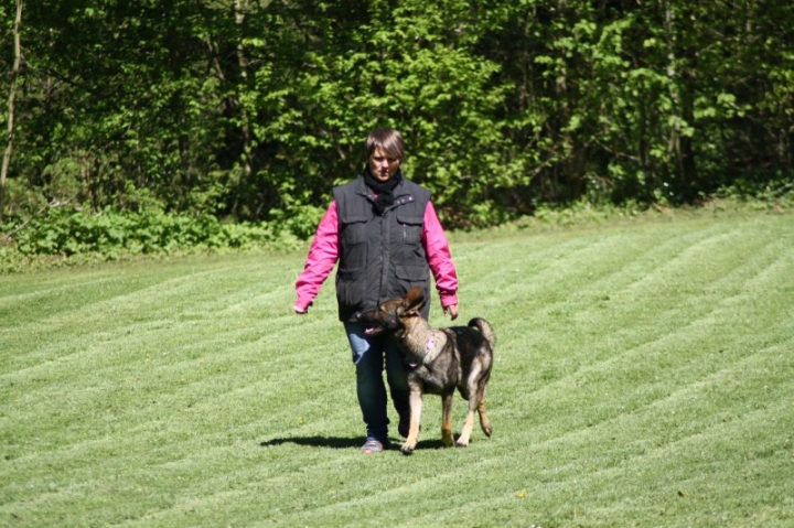 Frühjahrsprüfung 2014