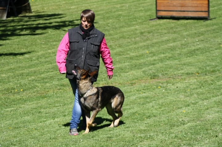 Frühjahrsprüfung 2014