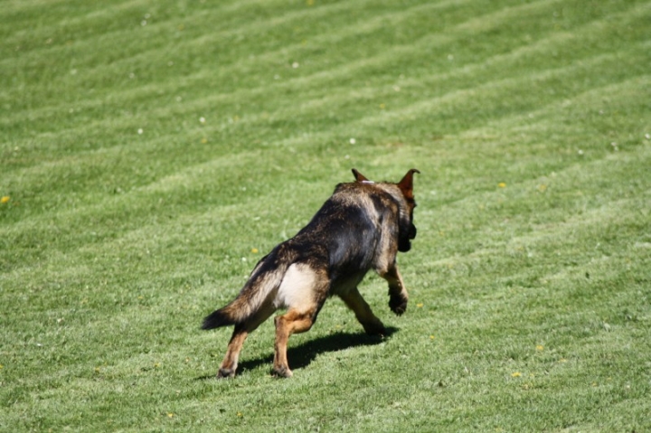 Frühjahrsprüfung 2014