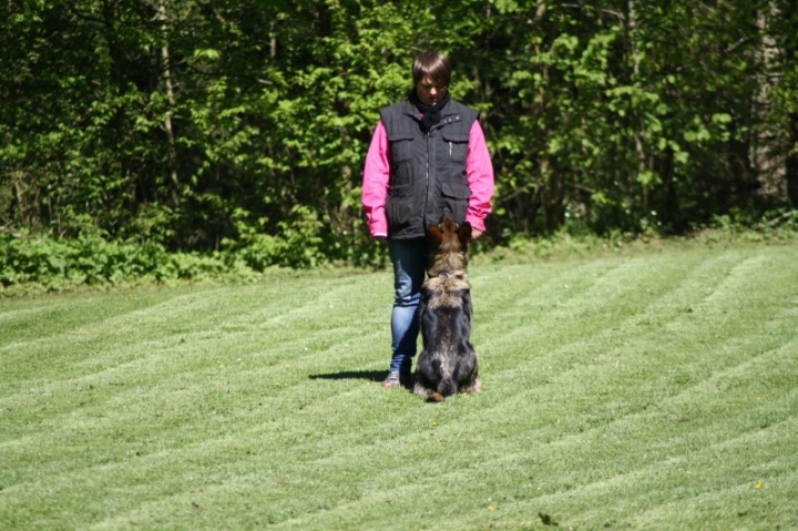Frühjahrsprüfung 2014