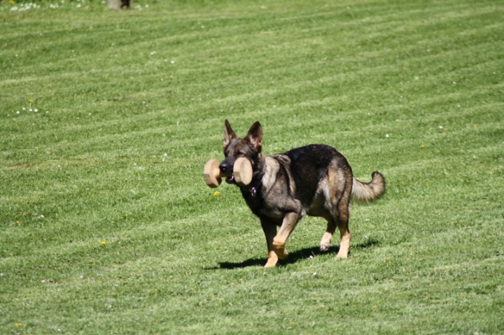 Frühjahrsprüfung 2014