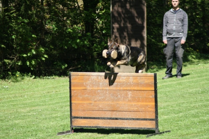 Frühjahrsprüfung 2014