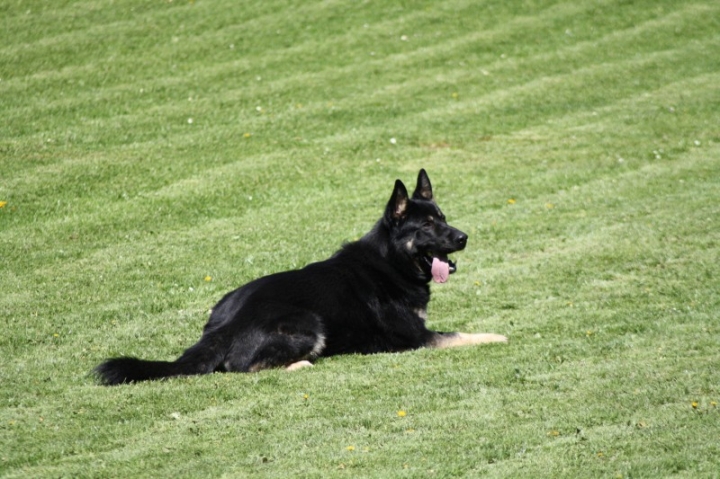 Frühjahrsprüfung 2014