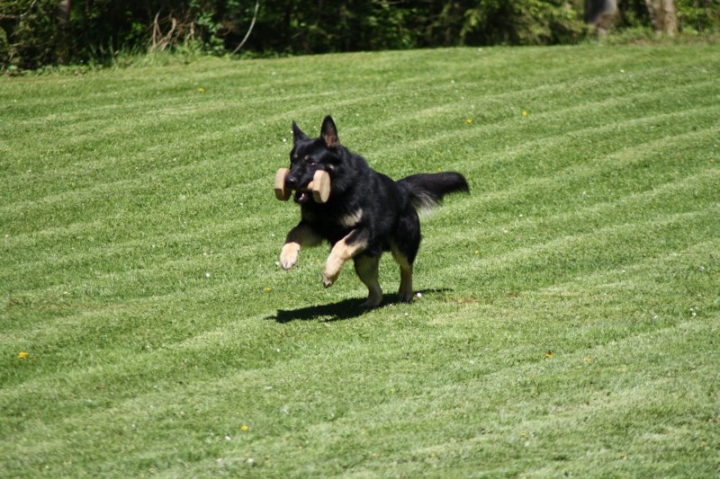 Frühjahrsprüfung 2014