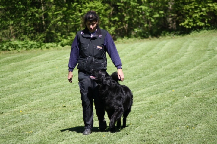 Frühjahrsprüfung 2014