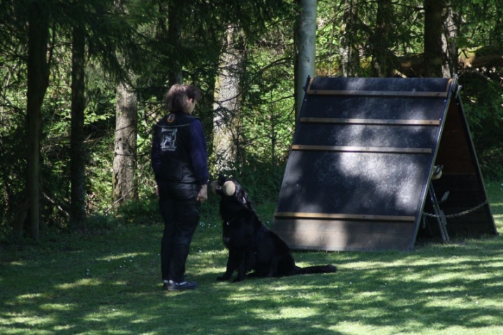 Frühjahrsprüfung 2014
