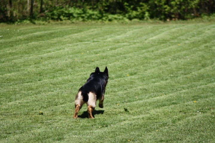 Frühjahrsprüfung 2014