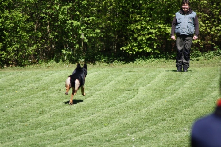 Frühjahrsprüfung 2014