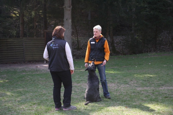 Obedience-Seminar 2013 mit Diana Ripp