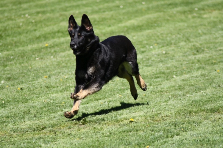 Frühjahrsprüfung 2014