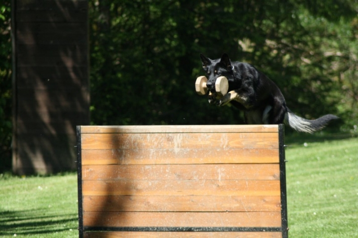 Frühjahrsprüfung 2014