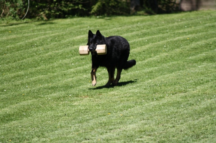 Frühjahrsprüfung 2014