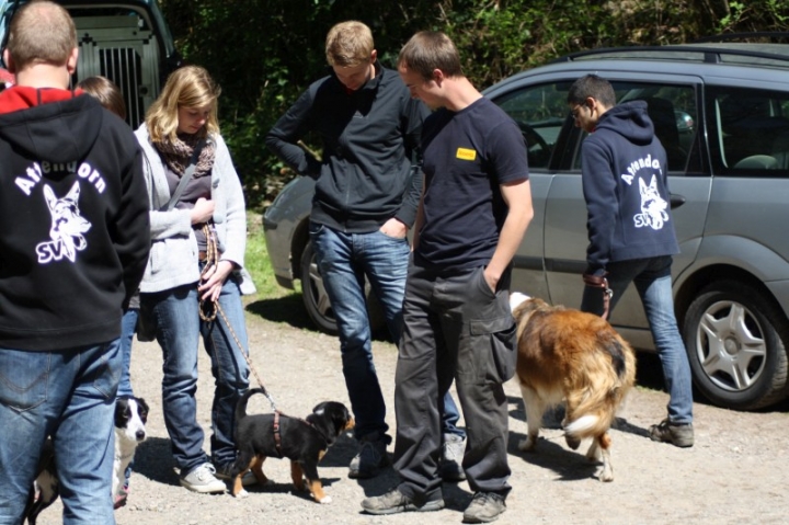 Frühjahrsprüfung 2014