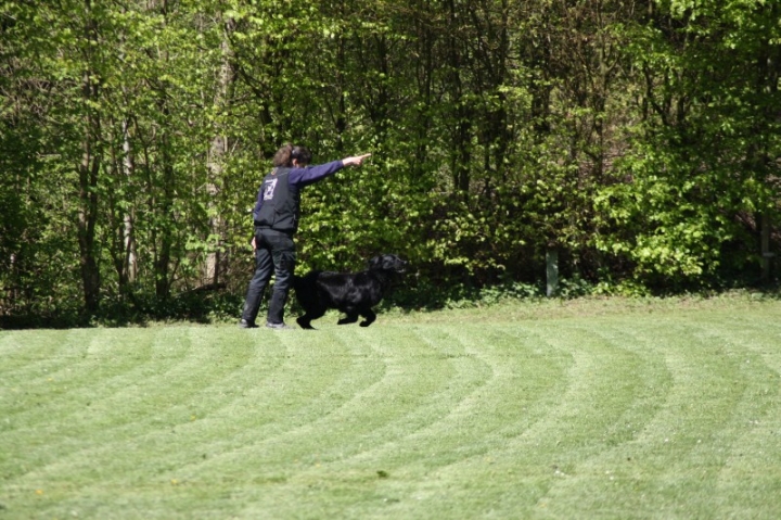 Frühjahrsprüfung 2014