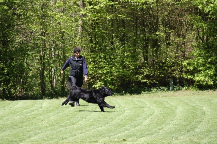 Frühjahrsprüfung 2014