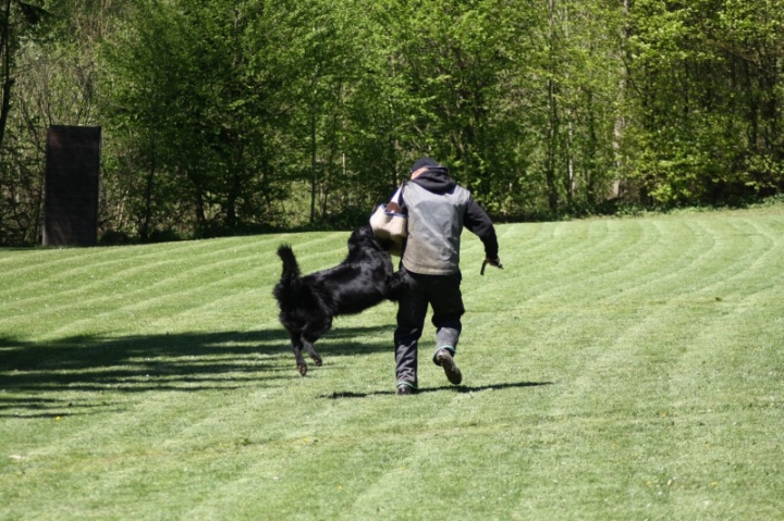 Frühjahrsprüfung 2014