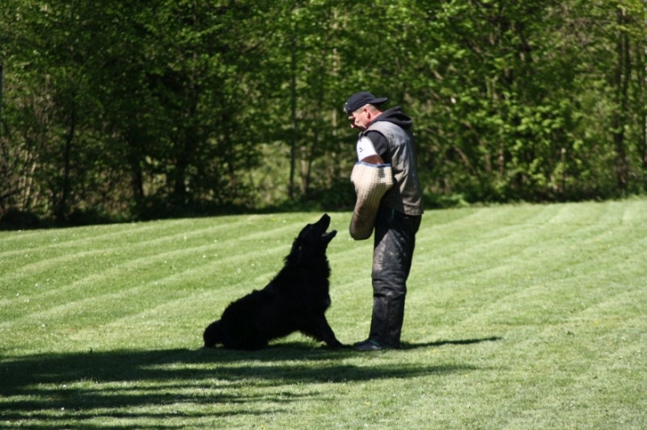 Frühjahrsprüfung 2014
