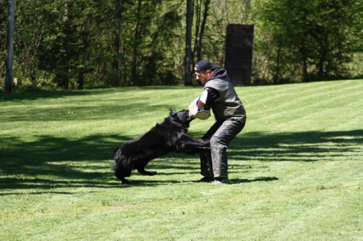 Frühjahrsprüfung 2014