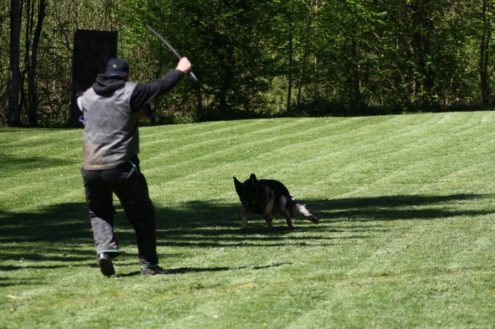 Frühjahrsprüfung 2014