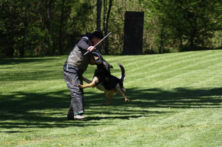 Frühjahrsprüfung 2014