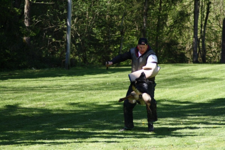 Frühjahrsprüfung 2014