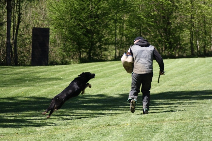Frühjahrsprüfung 2014