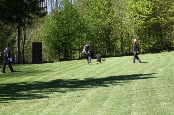 Frühjahrsprüfung 2014