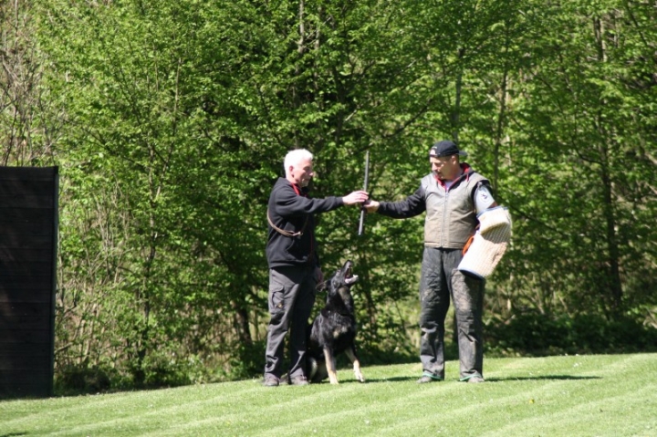 Frühjahrsprüfung 2014