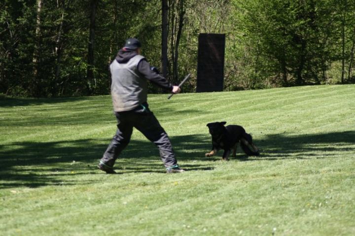 Frühjahrsprüfung 2014