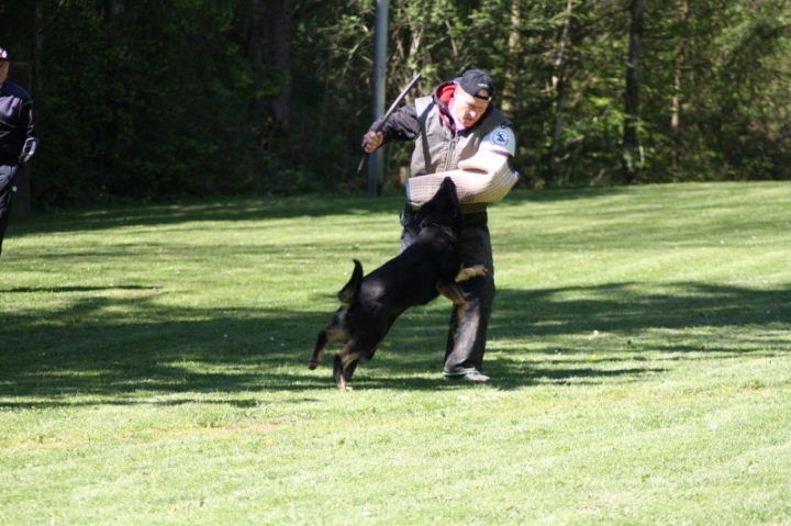 Frühjahrsprüfung 2014