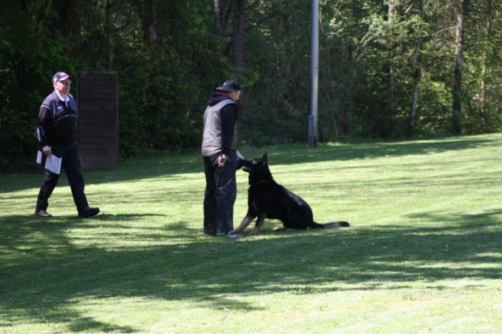 Frühjahrsprüfung 2014