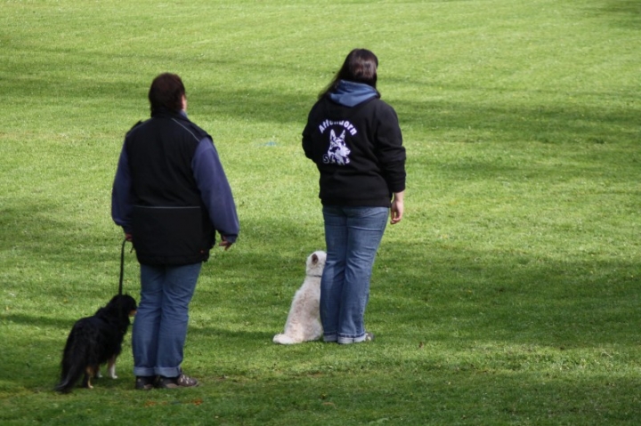 1. Obedience-Prüfung der OG Attendorn