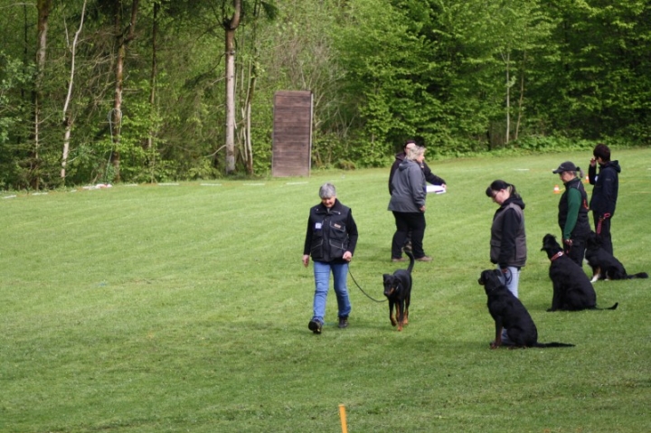 1. Obedience-Prüfung der OG Attendorn