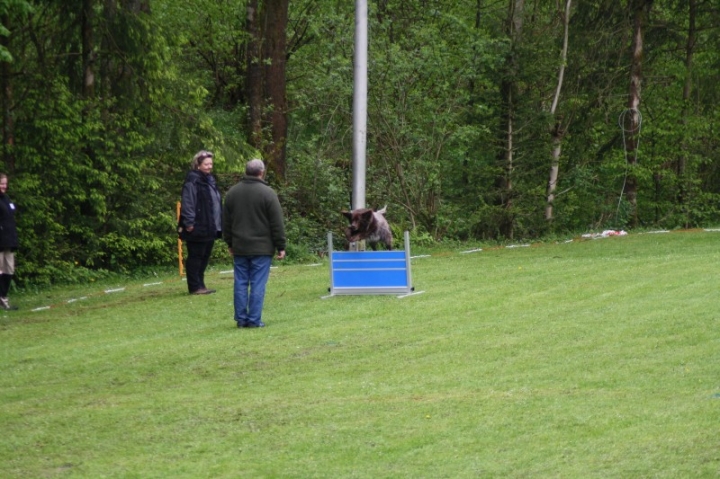 1. Obedience-Prüfung der OG Attendorn