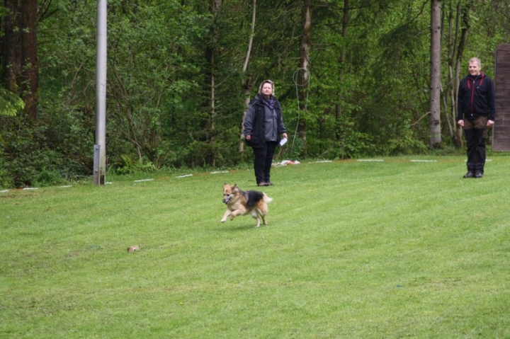 1. Obedience-Prüfung der OG Attendorn