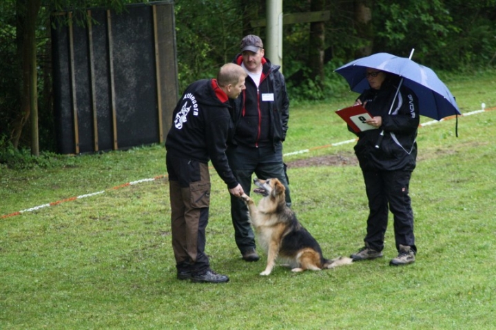 1. Obedience-Prüfung der OG Attendorn