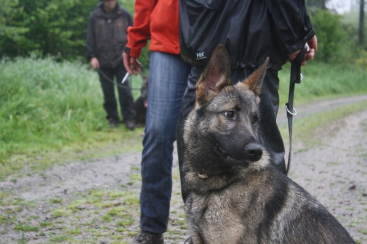 Vatertagswanderung am 29.05.2014