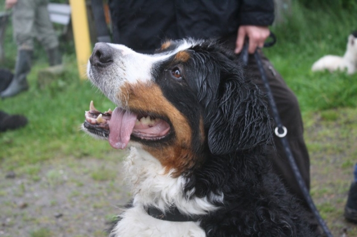 Vatertagswanderung am 29.05.2014