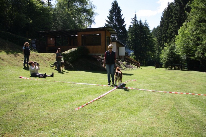 Obedience-Seminar mit Gerlinde Dobler am 22.06.2014