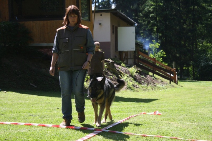 Obedience-Seminar mit Gerlinde Dobler am 22.06.2014