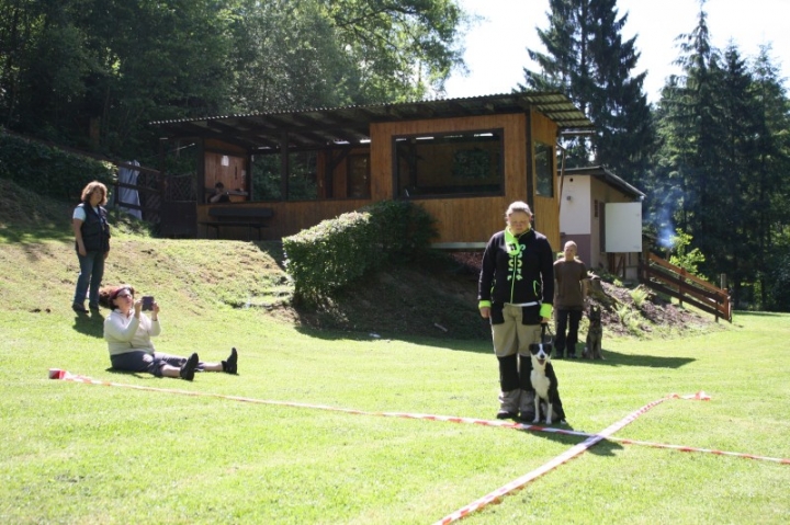 Obedience-Seminar mit Gerlinde Dobler am 22.06.2014