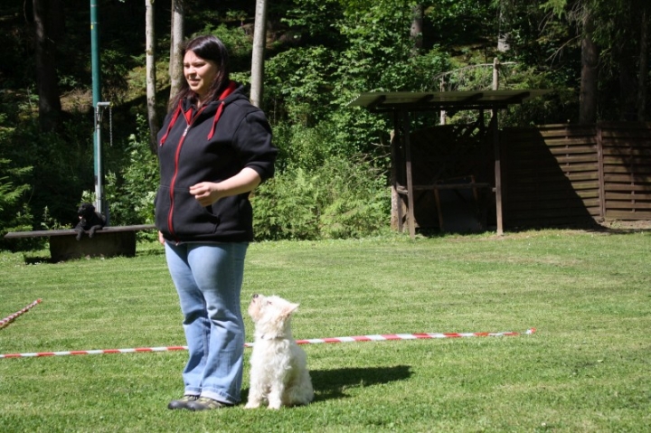 Obedience-Seminar mit Gerlinde Dobler am 22.06.2014