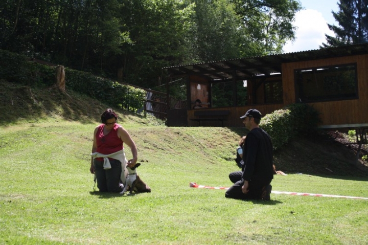 Obedience-Seminar mit Gerlinde Dobler am 22.06.2014