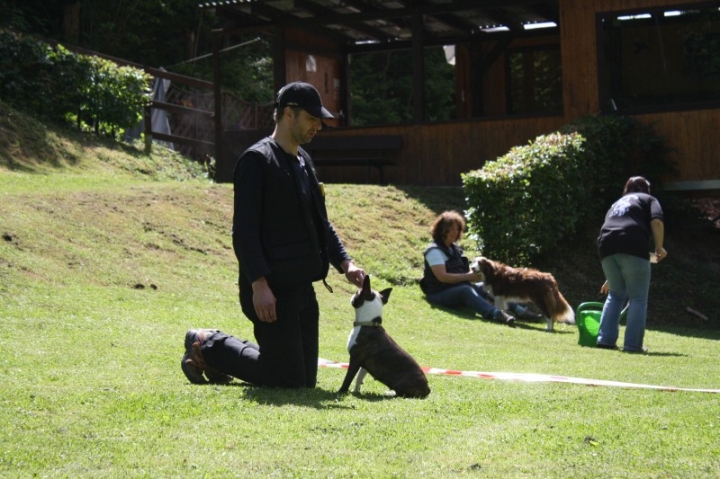 Obedience-Seminar mit Gerlinde Dobler am 22.06.2014