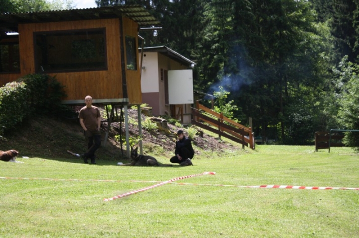 Obedience-Seminar mit Gerlinde Dobler am 22.06.2014