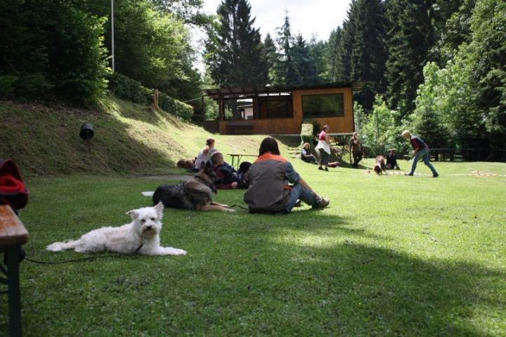 Obedience-Seminar mit Gerlinde Dobler am 22.06.2014