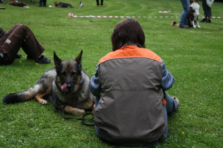 Obedience-Seminar mit Gerlinde Dobler am 22.06.2014
