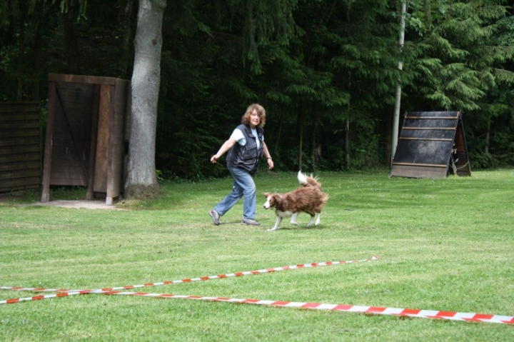 Obedience-Seminar mit Gerlinde Dobler am 22.06.2014