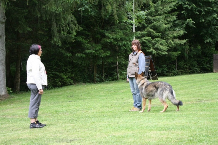 Obedience-Seminar mit Gerlinde Dobler am 22.06.2014